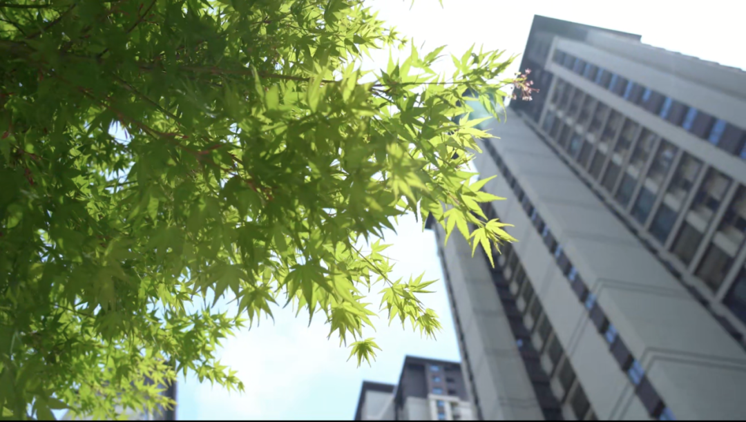 绿都业主说 | 我在河风雅叙,被岸边的春风拂过 图片
