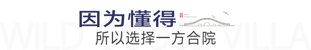 绿都·雁鸣叙的湖(hú)与院,每时每刻绽放生活的盛景流光 图片