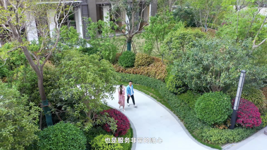 绿都业主说 | 我在河风雅叙,被岸边的春风拂过 图片