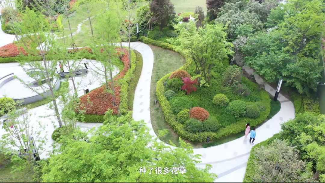 绿都业主说 | 我在河风雅叙,被岸边的春风拂过 图片