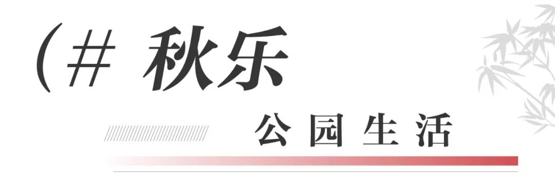 绿都澜湾·新(xīn)苑丨公园生活图鉴,家门口亦有(yǒu)秋景如画 图片