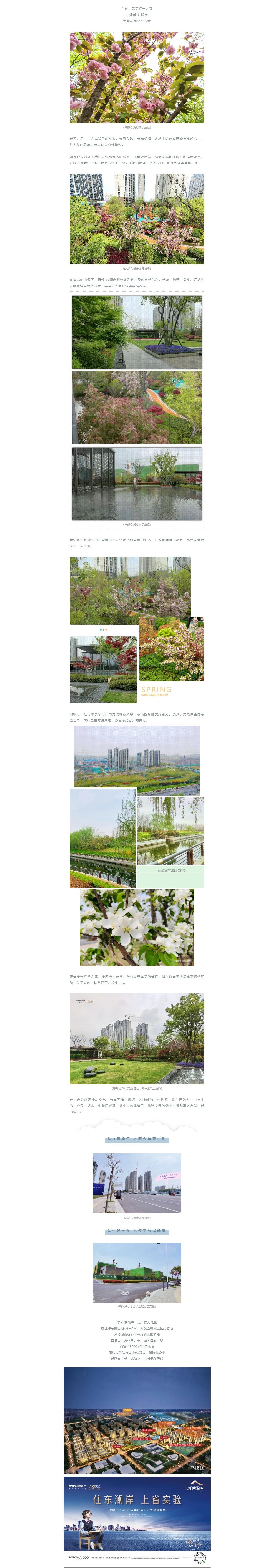 赏花(huā)踏青，来一场和春天的约会