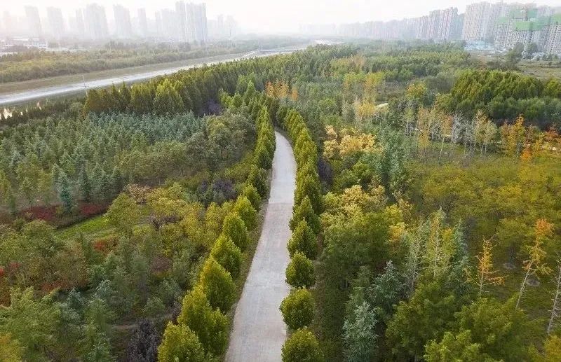 绿都澜湾·新(xīn)苑丨公园生活图鉴,家门口亦有(yǒu)秋景如画 图片